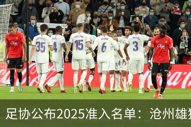 足协公布2025准入名单：沧州雄狮、广州队无缘