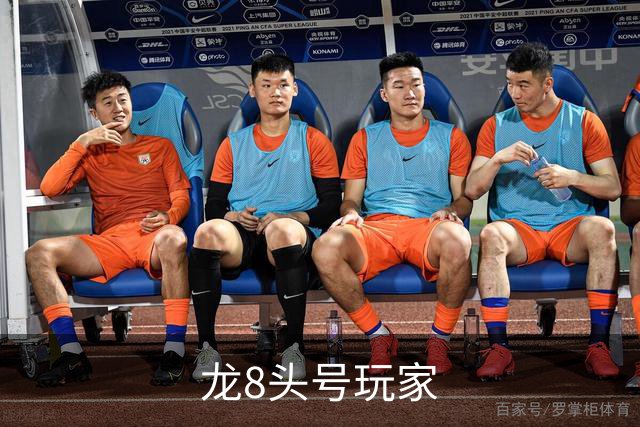 龙8头号玩家公司介绍